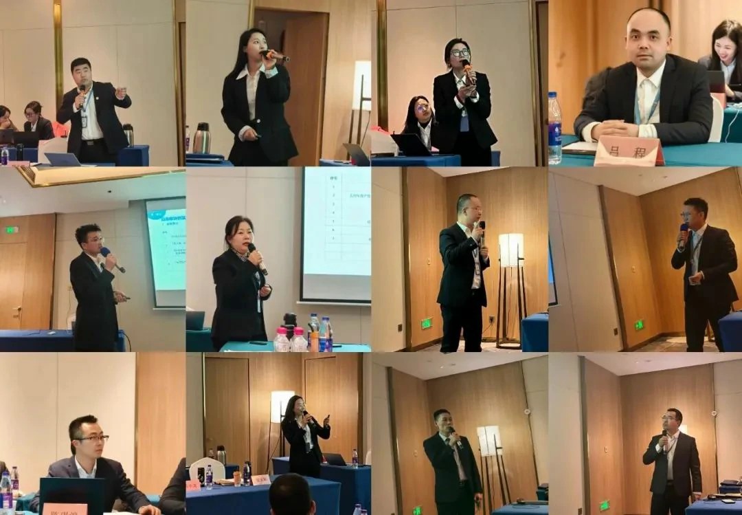 1739344157117291.jpg 10.jpg